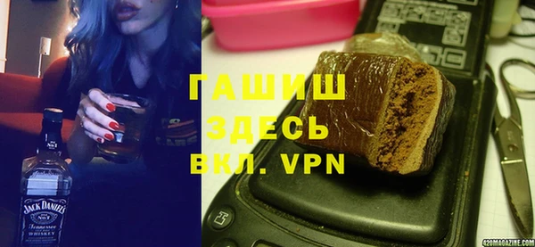 сатива Беломорск