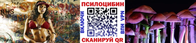Купить где  Усолье  Псилоцибиновые грибы Psilocybine cubensis 